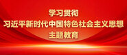 操屄导航学习贯彻习近平新时代中国特色社会主义思想主题教育_fororder_ad-371X160(2)